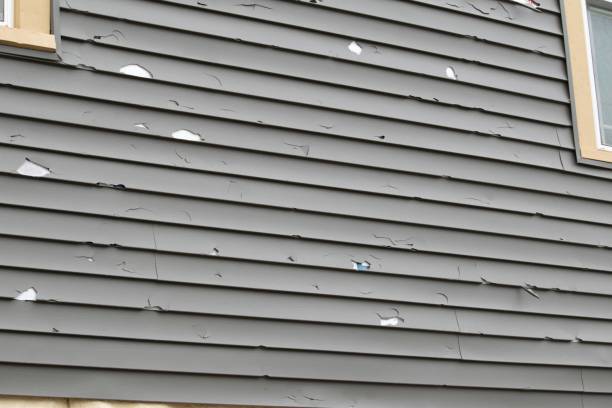 Best Hoarding Cleanup  in Rangely, CO
